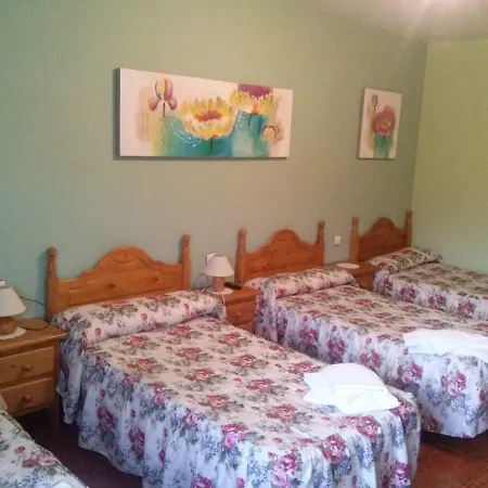 Rural El Arco Pesquera de Ebro